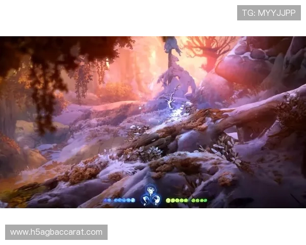 马来西亚云顶网址2024年最新版本，快速访问云顶游戏的最佳途径